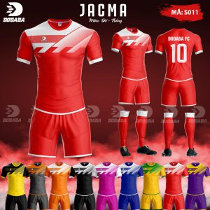 jacma-s011