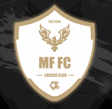 dịch vụ thiết kế logo áo đá bóng tại tphcm 